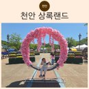 어사 박문수 테마길 | 청주 근교 천안 상록랜드 어린이날 방문 후기