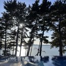 유지마을2농로 | 거제도숙소 내돈내산 거제생각속의집 슈페리어룸 세부 일몰맛집 온수풀 자쿠지