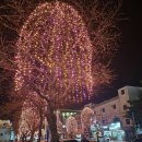 투다리부곡점 이미지