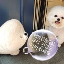 진서동물병원 이미지