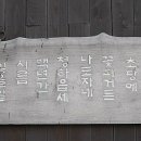 명품 세꼬시 물회 이미지