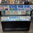 풍천장어 | 대전 송촌동 맛집/국내산 민물장어 맛집 풍천장어 솔직후기