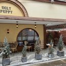 우아퍼피 이미지