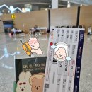 SC마트 | 칭다오➡인천 중국 산동항공 SC4621 탑승후기 / 칭다오자오둥공항 체크인 수속시간, 보안검사, 출국장 정보