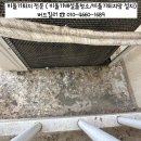 블루힐 | [김포 비둘기퇴치] 김포 마산동 아파트 비둘기퇴치, 한강센트럴블루힐에서 직접 시공한 후기