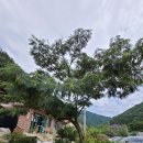 미산식당 이미지