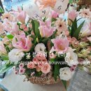 그린나래 어린이집 이미지