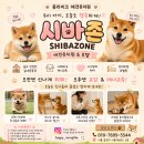 몽라이크(monglike) | 광명애견유치원 추천 100평 이상 규모의 믿을 수 있는 애견유치원 몽라이크 애견유치원