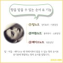 코라코스메틱 이미지