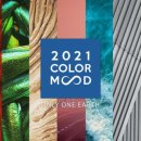 조광페인트 이미지