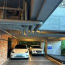 빨간모자달팽이 이미지