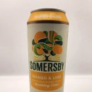 라임 (Lime) | [덴마크 사이다] 써머스비 망고라임(Somersby Mango &amp; Lime) 시음 후기
