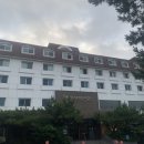 헤이제주 | 제주 서귀포 가성비 감성숙소_ 헤이서귀포 호텔 오션뷰 숙소 후기