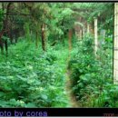 승룡농장 | 한남정맥 1구간