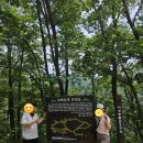 동두천시소요산관광지원센터 | 처그스트라우스증후군: 동두천 소요산 제 1코스 등산