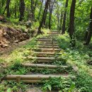 함안 명관리 공룡발자국 이미지