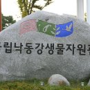 국립낙동강생물자원관 이미지