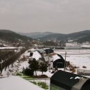 선유랑마을 Daum카페