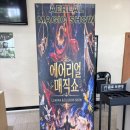 평택 에어리얼 매직쇼 보고 온 후기 어른이 봐도 재밌던 판타지 공연