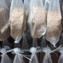 번창농장 이미지