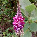 탑동호텔 이미지