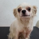 수원-1142 이미지