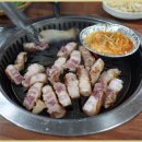 탐라우돈 이미지