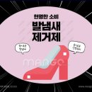 푸르미르상점