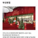 할리데이 | 서면 롯데백화점 부산본점 스위트 할리데이 방문 후기