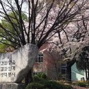 정신여고 이미지