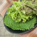 양정밀면 이미지