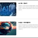 주니그래픽