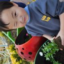 탑동초등학교 병설유치원 이미지