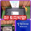 일광ZONE 이미지