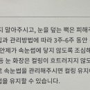 뷰티라인 속눈썹