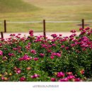 의성조문국사적지 이미지