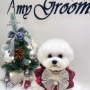 에이미 그루밍 이미지