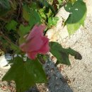 별마실 이미지