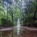 (주)참건축사사무소 이미지