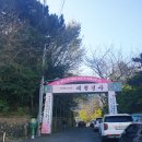 부산농장 이미지