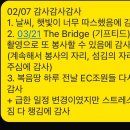 자담치킨방어점 네이버블로그