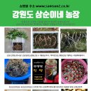 삼순농장 이미지