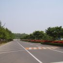 금락1리 이미지