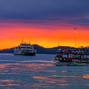 떠나가는 배 이미지