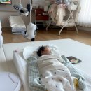 모로 | 머미쿨쿨베드 솔직후기｜모로반사+역류 잡고 꿀잠 !!!