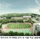 와이.영 이미지