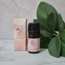 장미속옷 | 와이블룸 와이로지 한방울로 하루종일 장미향이 유지되는 속옷향수 후기