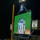 (주)반려애수 | 바스락~?