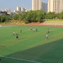 관저체육공원 Daum카페
