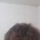홍성미용실잘하는 혜전대미용실에서 펌하기